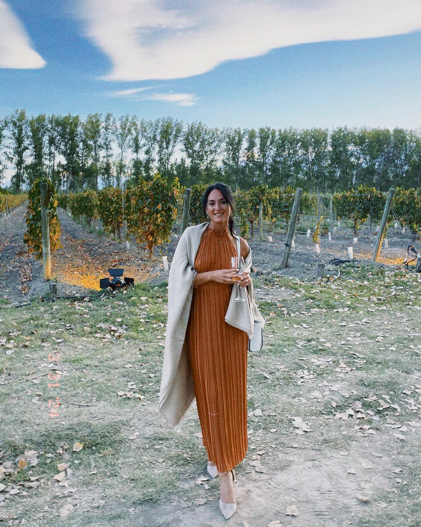 Click to view full screen Toperth Chocolate Pleated Halter Open-Back Maxi Dress photo review